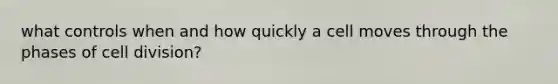 what controls when and how quickly a cell moves through the phases of <a href='https://www.questionai.com/knowledge/kjHVAH8Me4-cell-division' class='anchor-knowledge'>cell division</a>?
