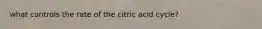 what controls the rate of the citric acid cycle?