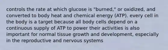 controls the rate at which glucose is "burned," or oxidized, and converted to body heat and chemical energy (ATP). every cell in the body is a target because all body cells depend on a continuous supply of ATP to power their activities is also important for normal tissue <a href='https://www.questionai.com/knowledge/kde2iCObwW-growth-and-development' class='anchor-knowledge'>growth and development</a>, especially in the reproductive and <a href='https://www.questionai.com/knowledge/kThdVqrsqy-nervous-system' class='anchor-knowledge'>nervous system</a>s