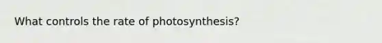 What controls the rate of photosynthesis?