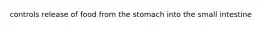controls release of food from the stomach into the small intestine