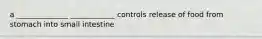 a ______________ ____________ controls release of food from stomach into small intestine