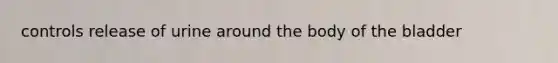 controls release of urine around the body of the bladder