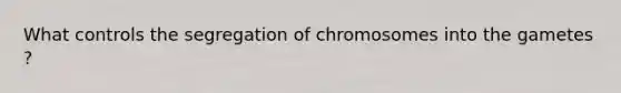 What controls the segregation of chromosomes into the gametes ?