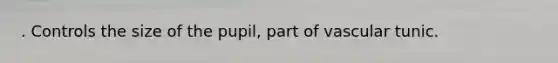. Controls the size of the pupil, part of vascular tunic.