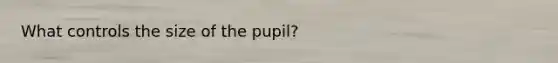 What controls the size of the pupil?