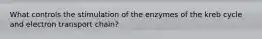 What controls the stimulation of the enzymes of the kreb cycle and electron transport chain?