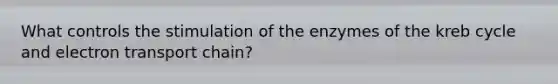 What controls the stimulation of the enzymes of the kreb cycle and electron transport chain?