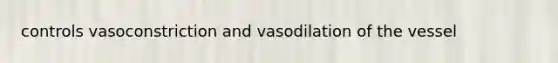 controls vasoconstriction and vasodilation of the vessel