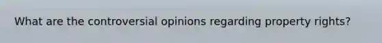 What are the controversial opinions regarding property rights?