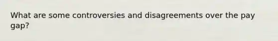 What are some controversies and disagreements over the pay gap?