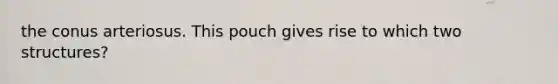 the conus arteriosus. This pouch gives rise to which two structures?
