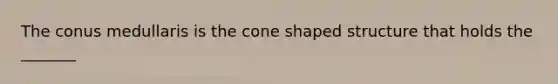 The conus medullaris is the cone shaped structure that holds the _______