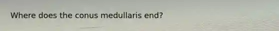 Where does the conus medullaris end?