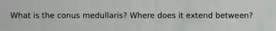 What is the conus medullaris? Where does it extend between?