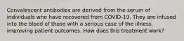 Convalescent antibodies are derived from the serum of individuals who have recovered from COVID-19. They are infused into the blood of those with a serious case of the illness, improving patient outcomes. How does this treatment work?