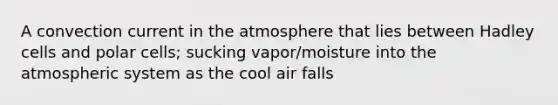 A convection current in the atmosphere that lies between Hadley cells and polar cells; sucking vapor/moisture into the atmospheric system as the cool air falls