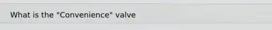 What is the "Convenience" valve