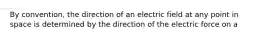 By convention, the direction of an electric field at any point in space is determined by the direction of the electric force on a