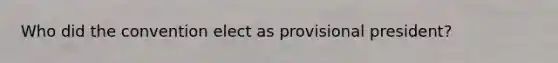 Who did the convention elect as provisional president?