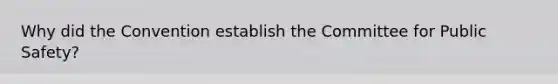 Why did the Convention establish the Committee for Public Safety?