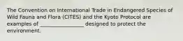 The Convention on International Trade in Endangered Species of Wild Fauna and Flora (CITES) and the Kyoto Protocol are examples of _________________ designed to protect the environment.