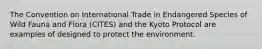 The Convention on International Trade in Endangered Species of Wild Fauna and Flora (CITES) and the Kyoto Protocol are examples of designed to protect the environment.