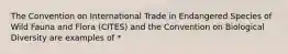 The Convention on International Trade in Endangered Species of Wild Fauna and Flora (CITES) and the Convention on Biological Diversity are examples of *