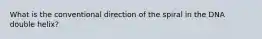 What is the conventional direction of the spiral in the DNA double helix?