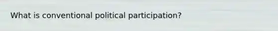 What is conventional political participation?