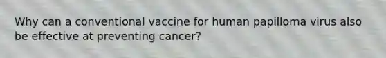 Why can a conventional vaccine for human papilloma virus also be effective at preventing cancer?