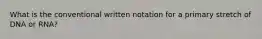 What is the conventional written notation for a primary stretch of DNA or RNA?