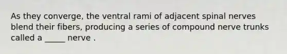 As they converge, the ventral rami of adjacent spinal nerves blend their fibers, producing a series of compound nerve trunks called a _____ nerve .