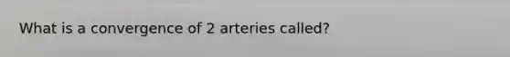 What is a convergence of 2 arteries called?