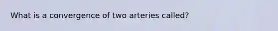 What is a convergence of two arteries called?