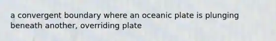 a convergent boundary where an oceanic plate is plunging beneath another, overriding plate