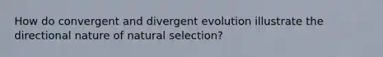 How do convergent and divergent evolution illustrate the directional nature of natural selection?