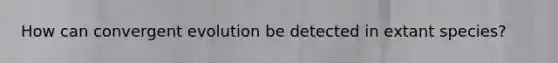 How can convergent evolution be detected in extant species?
