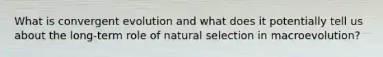 What is convergent evolution and what does it potentially tell us about the long-term role of natural selection in macroevolution?