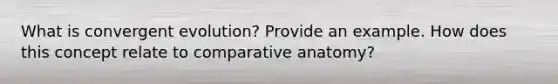 What is convergent evolution? Provide an example. How does this concept relate to comparative anatomy?