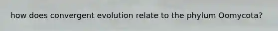 how does convergent evolution relate to the phylum Oomycota?
