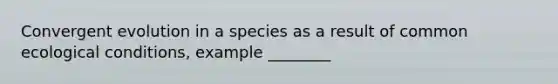 Convergent evolution in a species as a result of common ecological conditions, example ________