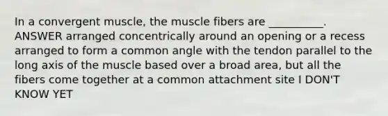 In a convergent muscle, the muscle fibers are __________. ANSWER arranged concentrically around an opening or a recess arranged to form a common angle with the tendon parallel to the long axis of the muscle based over a broad area, but all the fibers come together at a common attachment site I DON'T KNOW YET