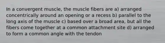 In a convergent muscle, the muscle fibers are a) arranged concentrically around an opening or a recess b) parallel to the long axis of the muscle c) based over a broad area, but all the fibers come together at a common attachment site d) arranged to form a common angle with the tendon