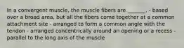 In a convergent muscle, the muscle fibers are _______. - based over a broad area, but all the fibers come together at a common attachment site - arranged to form a common angle with the tendon - arranged concentrically around an opening or a recess - parallel to the long axis of the muscle