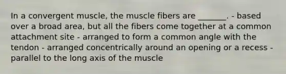 In a convergent muscle, the muscle fibers are _______. - based over a broad area, but all the fibers come together at a common attachment site - arranged to form a common angle with the tendon - arranged concentrically around an opening or a recess - parallel to the long axis of the muscle