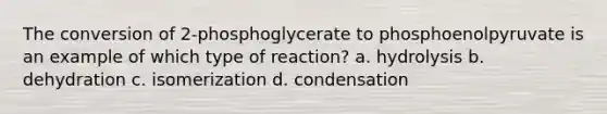 The conversion of 2-phosphoglycerate to phosphoenolpyruvate is an example of which type of reaction? a. hydrolysis b. dehydration c. isomerization d. condensation