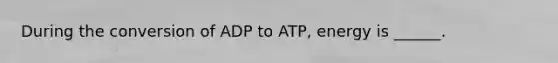 During the conversion of ADP to ATP, energy is ______.