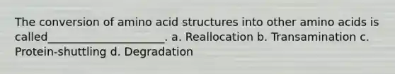 The conversion of amino acid structures into other <a href='https://www.questionai.com/knowledge/k9gb720LCl-amino-acids' class='anchor-knowledge'>amino acids</a> is called_____________________. a. Reallocation b. Transamination c. Protein-shuttling d. Degradation