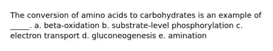 The conversion of amino acids to carbohydrates is an example of _____. a. beta-oxidation b. substrate-level phosphorylation c. electron transport d. gluconeogenesis e. amination